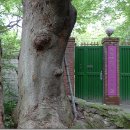 벽운동천 이미지