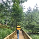 국립횡성숲체원-호수길133 1박2일 후기