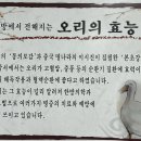 남강오리전문점 이미지