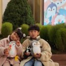 청솔태권도 이미지