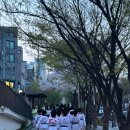 루루태권도장 이미지