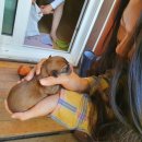 매네미 민박 이미지