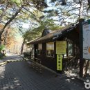 미식&포토스팟 코스 이미지