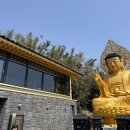 커피 한잔 대신 명상,서귀포 이색 데이트 산방산 보문사 명상센터