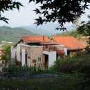 비숑명가