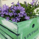 빈티지박스 이미지