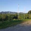 이레농원 이미지