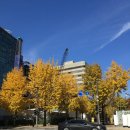 지샵안경 이미지