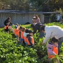 그린농업센터 이미지
