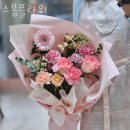 소봄 이미지