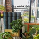 어쭈구리냉면집
