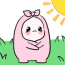 솔비알 이미지
