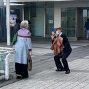 교촌치킨(복산점) | 12월 넷째주 / 23주 임산부 일상, 임당검사, 정밀초음파, 크리스마스 키즈펜션