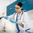 상무동물병원 이미지