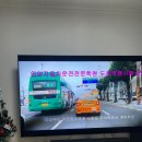 직장인퇴근길A | 30대 직장인 운전면허 따기, &lt;안양자동차운전전문학원&gt; 도로주행 시험 꿀팁🌟 -끝-