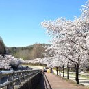 동물원 가는 길 이미지