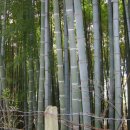 금정산주유소 이미지