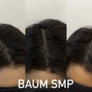 바움SMP