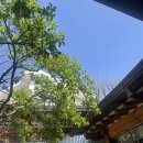 휴(休) | @ 다니엘트루스 퍼퓸하우스 삼청점 :: 휴(休) 원데이클래스 체험후기