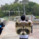 가영생수