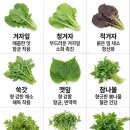 풀떼기