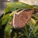 인동중앙로5길-1 이미지