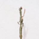 자연환경 이미지