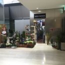 성우약국 이미지