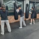 BMG 복싱 이미지