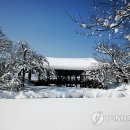 관동팔경녹색경관길 이미지