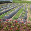 후미3리 이미지