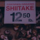 올데이올가닉 이미지