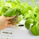 더블유엠교육