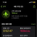 블루마사지 이미지