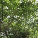 강남1길 이미지