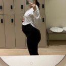 (주)범퍼뱅크 | 임신일기 : 초기에서 후기까지