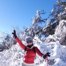 2026년 1월2일(금요일): 천상의설국화원 태기산 눈꽃및 상고대 트래킹 합니다《40인승 대형 버스로 추가 모집합니다 》 이미지