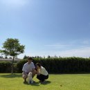 서쪽강생이 이미지