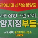 삼정그린코아 맞은편 이미지