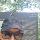 2026년5월30일 경남 합천군 야로면 미숭산3 이미지