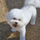 구암동428 이미지