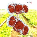 김양식농장 이미지