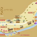 용골송어와캠핑 이미지