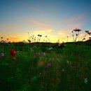 큐코리아 이미지