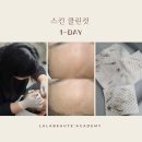 라라스킨 이미지