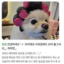 미본헤어 - 포항시 북구 | 미본헤어