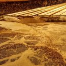 김승수농장 이미지