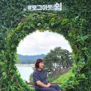 성철농장 Daum카페