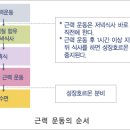 운동 성공하게하는 근력운동 이미지