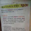 대명산 민물장어 이미지